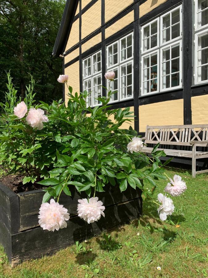 Hotel Egeskoven Viborg Esterno foto