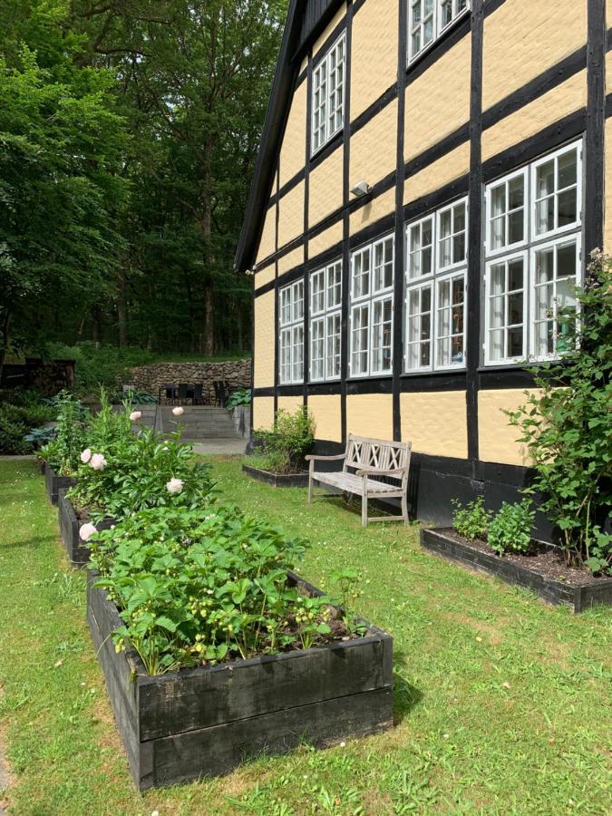 Hotel Egeskoven Viborg Esterno foto